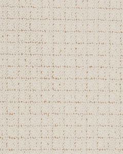 Matrix Patterned Nylon 46oz Carpet