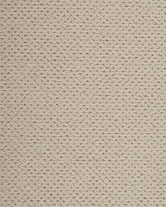 Kenetic Detail SmartStrand 55oz Carpet