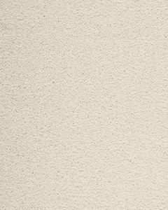 Delightful Intent SmartStrand 42oz Carpet