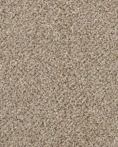 Revived Classic Textured 60oz SmartStrand Carpet