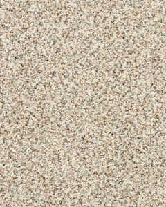 Instinctive Classic Textured 42oz SmartStrand Carpet