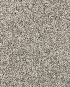 Salinas Valley I Textured 40oz SmartStrand Carpet