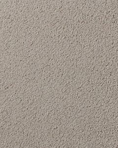Salinas Valley II Textured 55oz SmartStrand Carpet