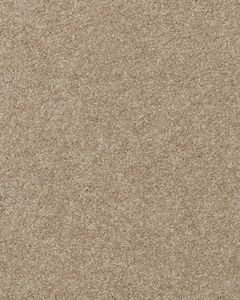 Delicate Shades Textured 70oz SmartStrand Carpet