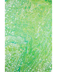 Kikiamo KK5 Lime-In Area Rug