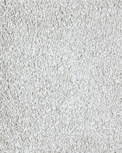 Lavish Approach Textured SmartStrand Carpet