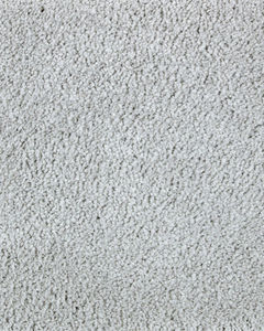 Lavish Touch Textured SmartStrand Carpet