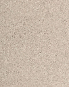 Luxuriant Feel Textured SmartStrand Carpet