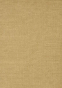 Monaco Sisal MC100 Honey Area Rug