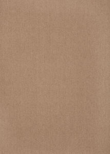 Monaco Sisal MC200 Ecru Area Rug