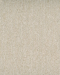 Sallida Valley Nylon Carpet