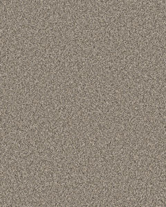 Mirador Textured 73oz Carpet