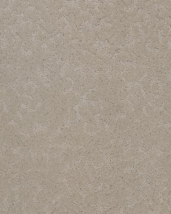 Natural Legacy Patterned SmartStrand Carpet