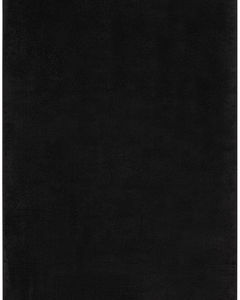 Nourison Essentials NRE01 Black Area Rug