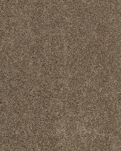 Glamourous Charm II Textured Carpet