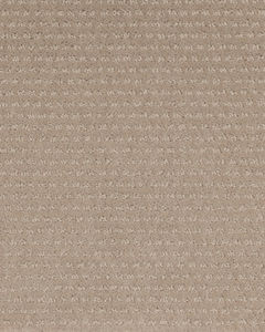 Luxurious Moment Patterned SmartStrand Carpet