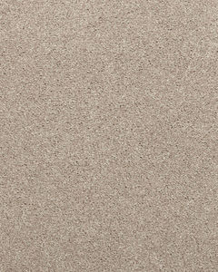 Willow Creek Textured SmartStrand 40oz Carpet