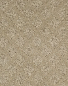 Momentous Beauty Patterned SmartStrand Carpet