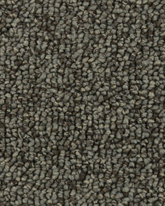 True Distinction EverStrand Carpet