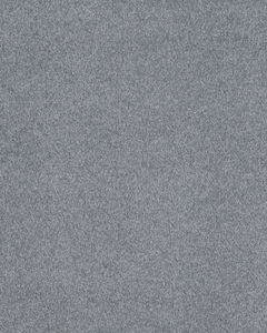 Opulent Tradition Textured Nylon 65oz Carpet