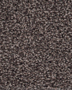 Oracle Textured Nylon Carpet