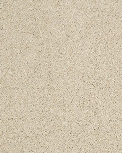 Hillcrest II Textured Nylon 29oz Carpet