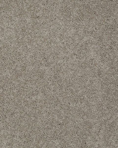 Pagosa Textured Nylon 39oz Carpet
