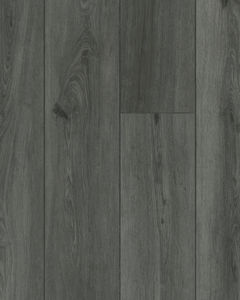 Paragon 7