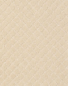Pawnache Patterned Nylon Carpet
