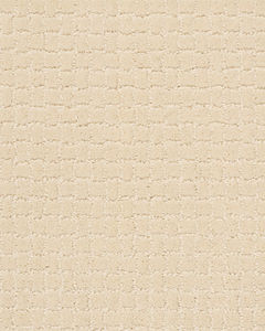 Pawstruck Patterned Nylon Carpet