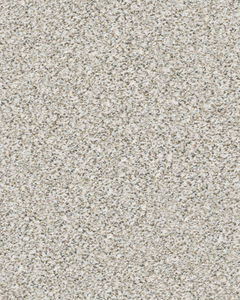 Pikes Peak Textured Nylon Carpet
