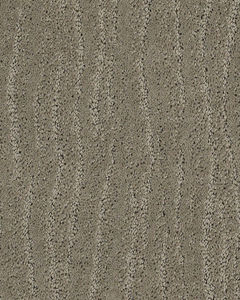 Pose Patterned Nylon Carpet