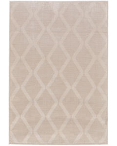 Prasad 3678F Ivory/Tan Area Rug