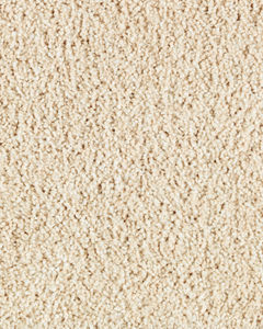 Pure Distinction II Textured SmartStrand Carpet