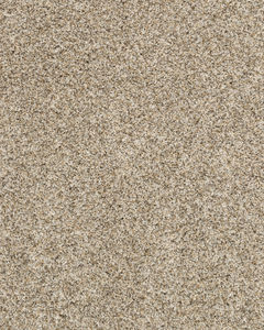 Purrsonality II Pet Friendly 60oz Carpet