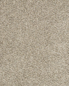 Raise The Woof II Pet Friendly 53oz Carpet