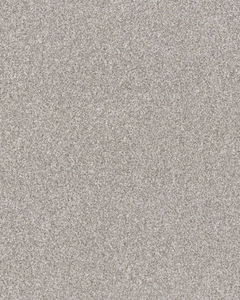 Refined Chic Frozen Textured Carpet
