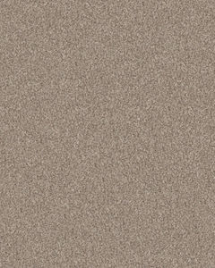 Refined Chic Natural Textured Carpet