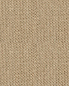 Smart Thinking Textured Loop Nylon Carpet