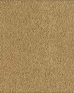Soft Excellence Textured SmartStrand Carpet