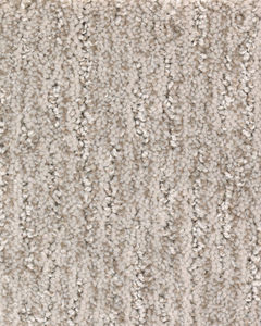 Style Stamina Patterned EverStrand Carpet