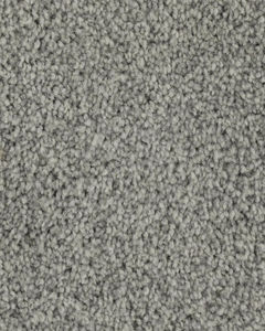 Superior Selection Textured SmartStrand Carpet