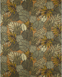 Tropics TC11 Clay Area Rug