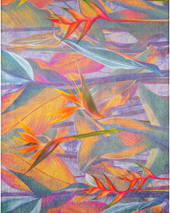 Tropics TC14 Passion Area Rug