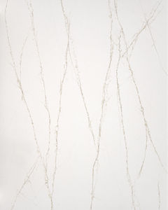 Tempo Valore Quartz Countertop