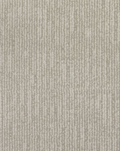 Timeless Features Patterned Kashmere Nylon Carpet