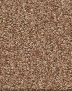 Tonal Comfort II Textured 53oz Nylon Carpet