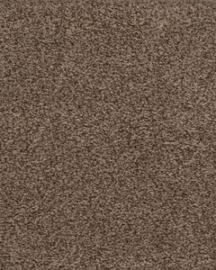 Tower View Kashmere Nylon Carpet
