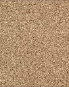 Tranquil Bliss Kashmere Nylon Carpet