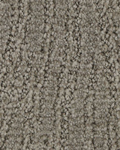Trendy Charm EverStrand Carpet